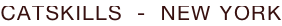 shapeimage_13_link_1